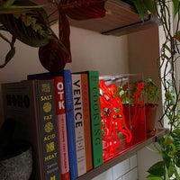 'Bookcase Man' Neon Box Sign
