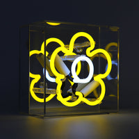 'Daisy' Mini Glass Neon Sign