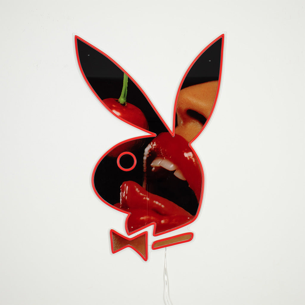 その他 ZCWO x Playboy #1 Playboy Anatomy 52cm ZCWO & well-known fashion brand PLAYBOY, will be unveiling a
