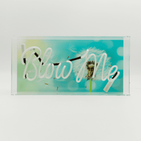 'Blow Me' Neon Box Sign