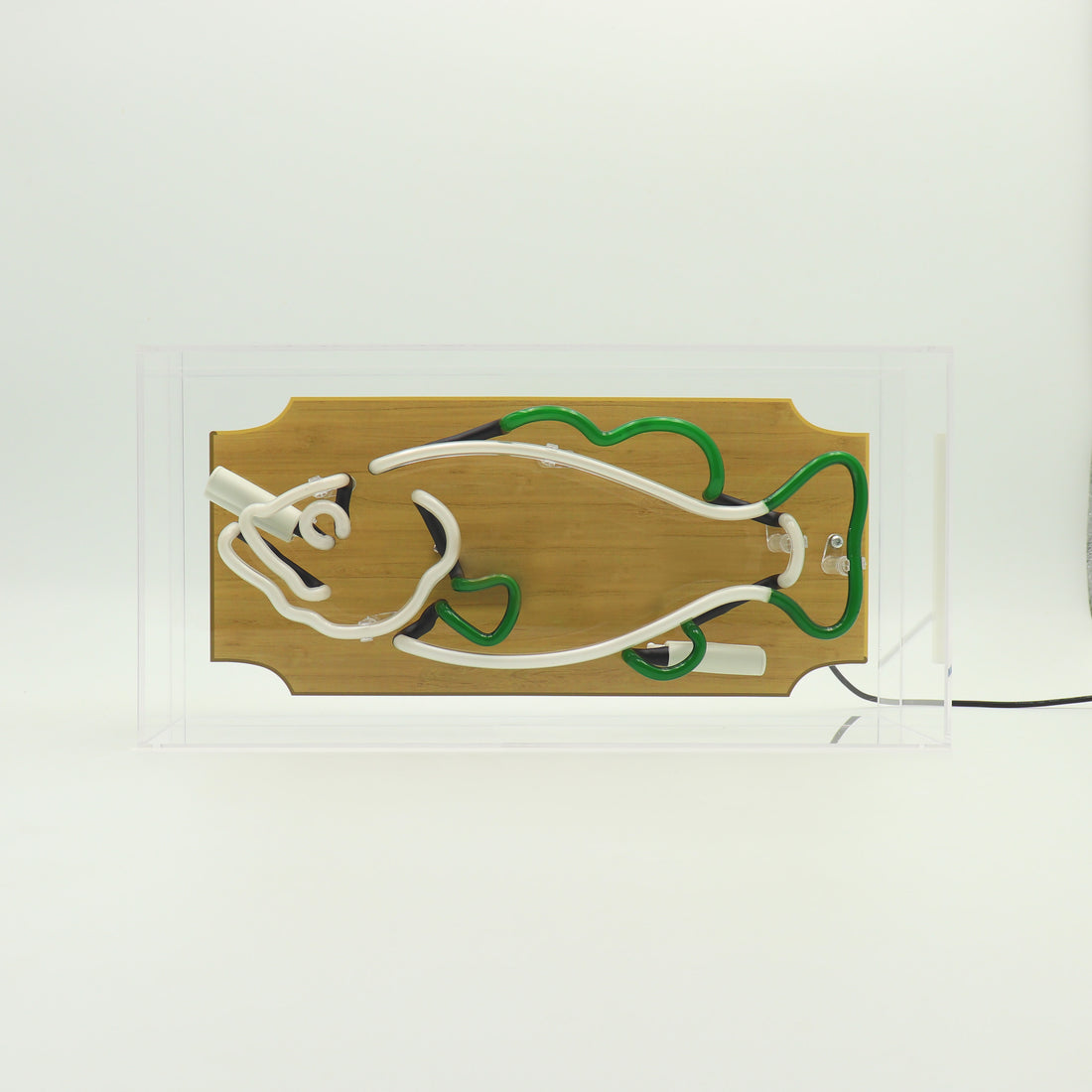 'Trophy Fish' Glass Neon Box Sign - Green