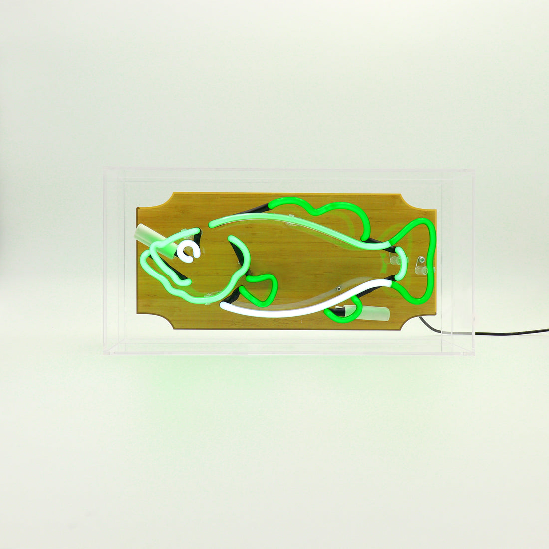 'Trophy Fish' Glass Neon Box Sign - Green