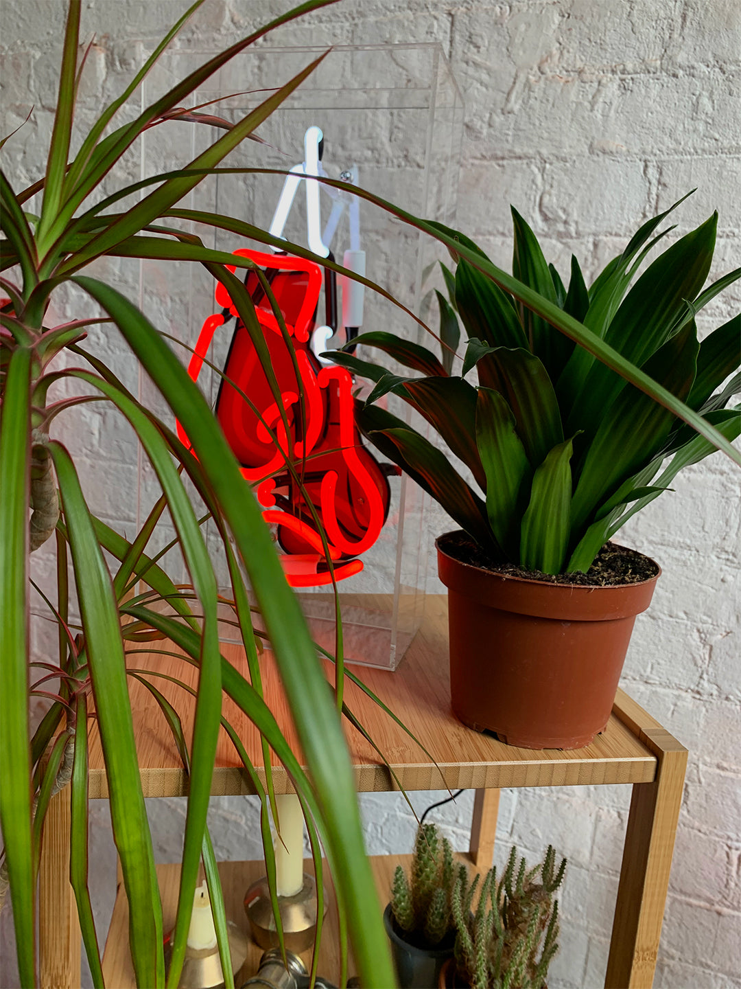 'Boxing Gloves' Glass Neon Sign