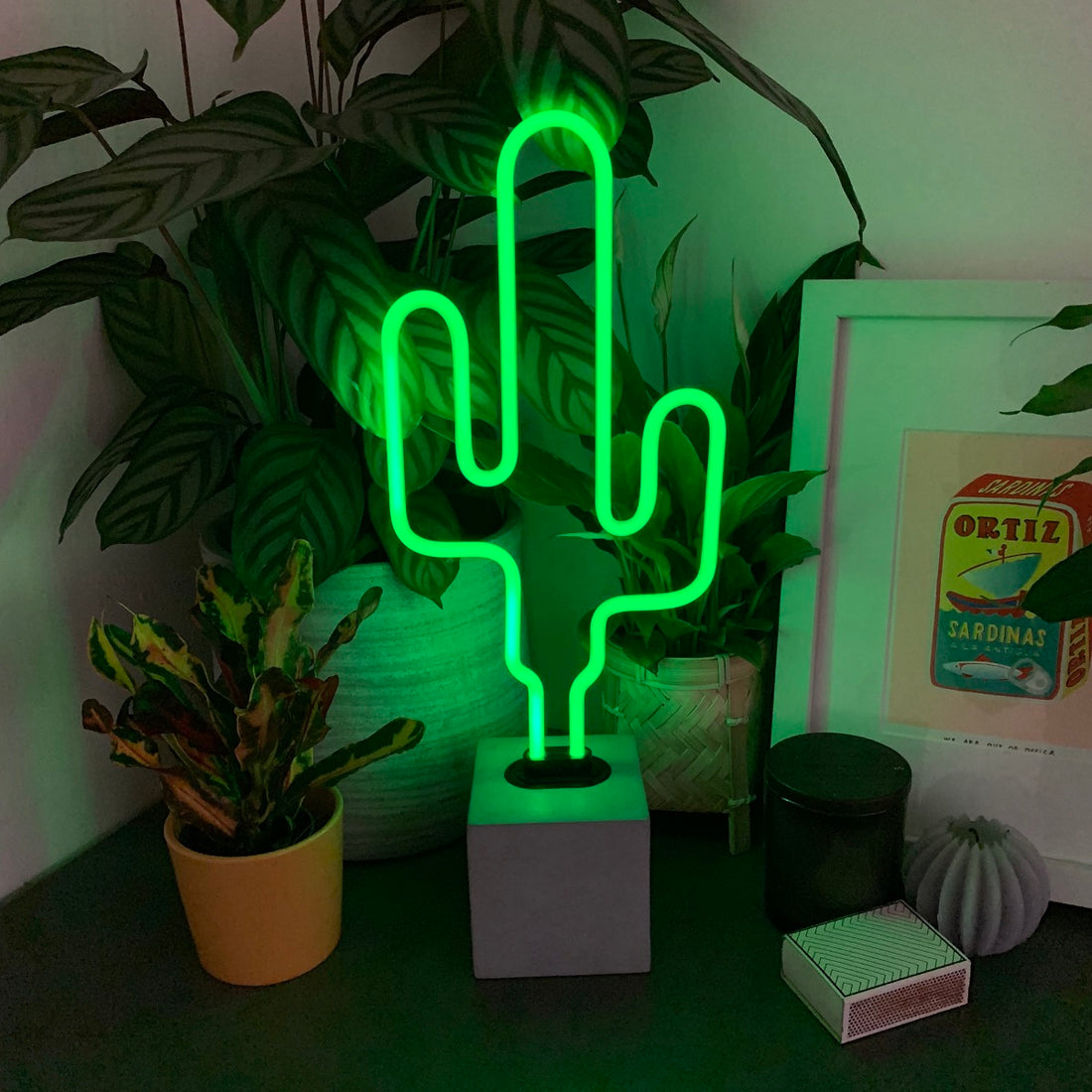 Segno al neon "Cactus