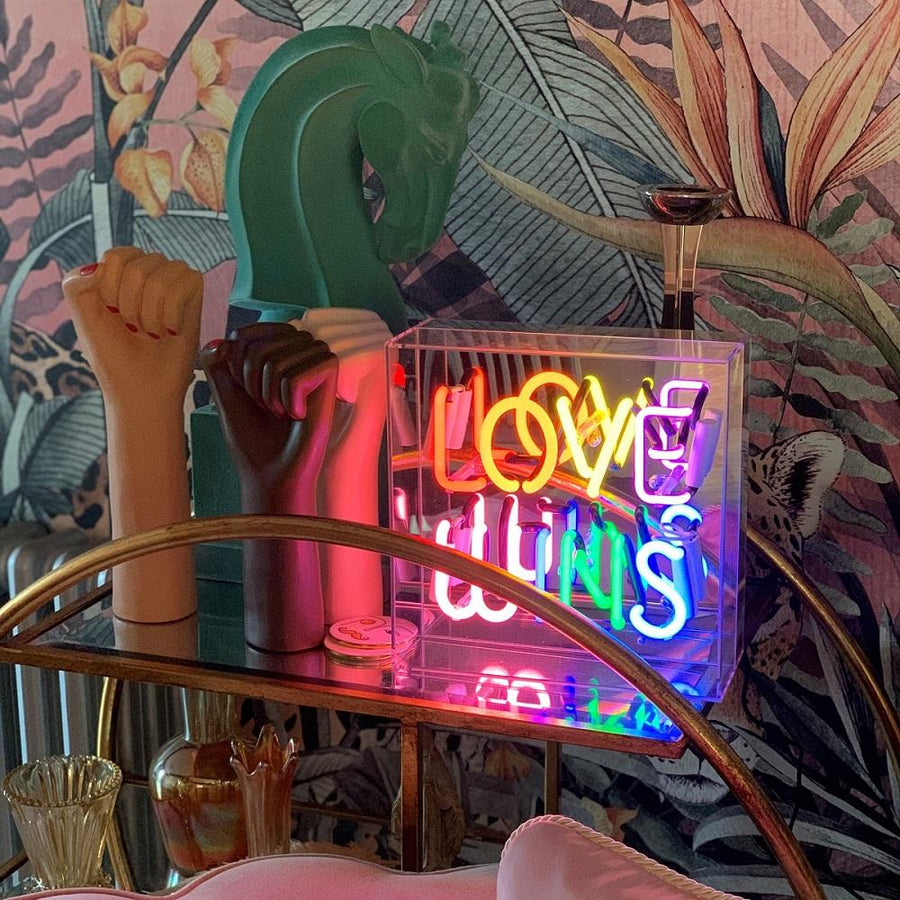 'Love Wins' Acrylic Box Neon Light - Locomocean